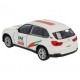 Team car UAE Emirates - Voitures miniatures