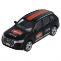 Team car Alpecin-Fenix - Miniature cars