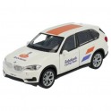 Team car Rabobank - Miniature cars