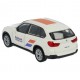 Team car Rabobank - Miniature cars